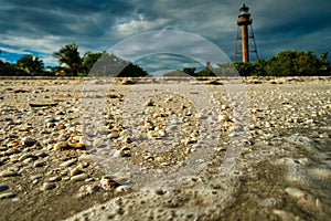 Shells on Sanibel Island with historic lighthouse and dramatic sky in background