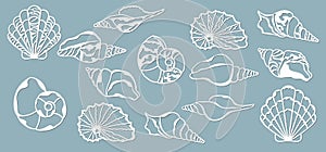 Shells of the sea. Laser cutting. Craft paper for decoration. Plotter, screen printing