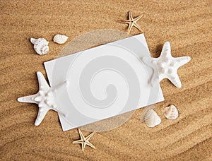 Shells, seastars and an blank postcard