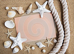 Shells, seastars and an blank postcard