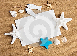 Shells, seastars and an blank postcard