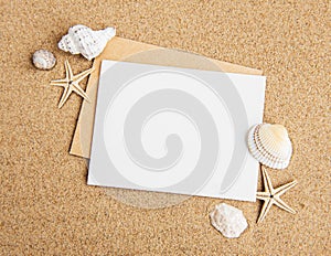Shells, seastars and an blank postcard