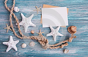 Shells, seastars and a blank postcard