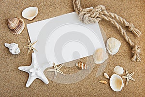 Shells, seastars and blank postcard