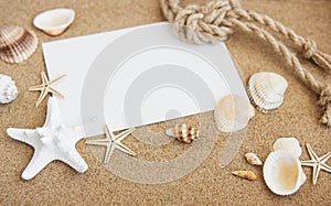 Shells, seastars and blank postcard