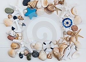 Shells, seastars and a blank postcard