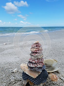Shells stacked near the water on the beach