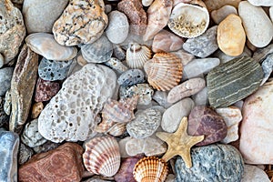 Shells, starfish and pebble stones