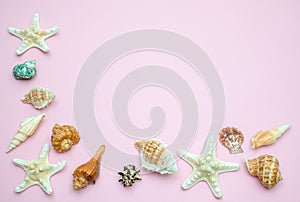Shells and starfishes on pink background. Copy space for your text.Summer holiday concept