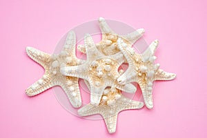 Shells and starfishes on pink background. Copy space for your text.Summer holiday concept