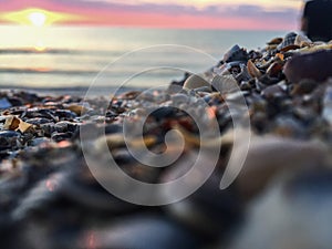 Shells at sunrise