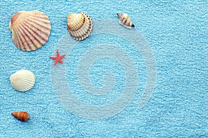 Shells on a towel