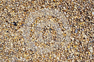 Shellstone component background.