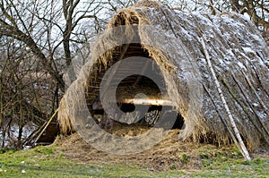 Shelter of branches on the bank of the river