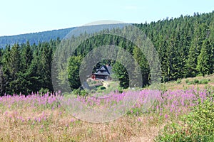 Shelter Hala Krupowa - Beskid Zywiecki, Poland photo