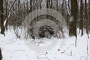 Shelter made of branches for wild animals in a winter snowy forest.