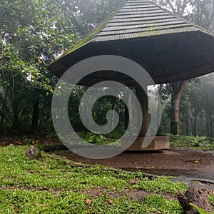 SHELTER IN THE SAFARI PARK 2