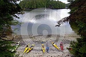 Sheltered anchorage in God's Pocket, Vancouver Island, with kayaks and sail boat..