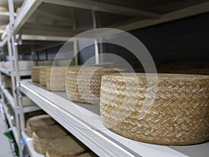 Shelves with aged cheeses. Cheese row