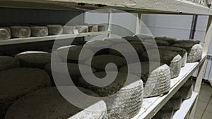 Shelves with aged cheeses. Cheese row