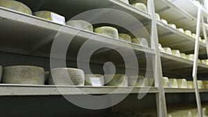 Shelves with aged cheeses. Cheese row