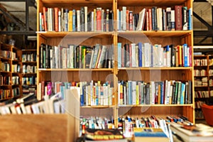 Shelves with books in a bookstore. Education and development. Blurred