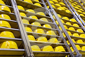 Shelves with cheese at a cheese warehouse Close up