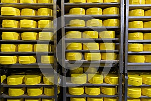 Shelves with cheese at a cheese warehouse Close up