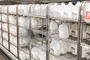 Shelves full of gallons of milk in store