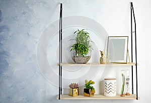 Shelves with green lucky bamboo in glass bowl