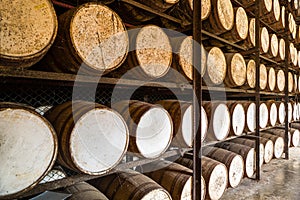 Shelves with oak rum barrels