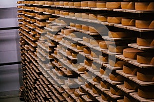 Shelves with wheels of cheese at cheese warehouse, selective focus