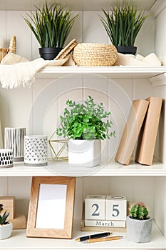 shelving unit with plants and different decorative stuff