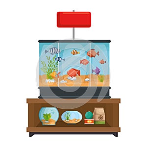 shelving of veterinary store with aquariums