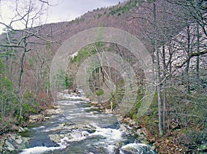 Shenandoah Valley Virginia Mountain Stream