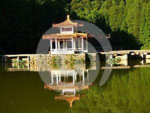 Shenzen China, Fairly Lake Botanical Garden photo