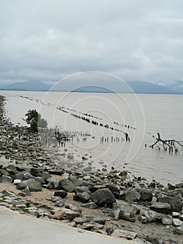 Shenzhen Bay Park waterfront