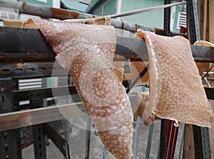 Shenzhen, China: dried pigskin photo