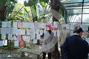 Shenzhen, China: marriage corner