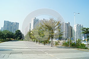 Shenzhen, China: Pavement Landscape