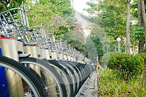 Shenzhen, China: rows of shared bicycles parked on the sidewalk