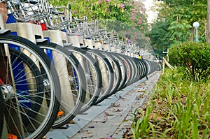 Shenzhen, China: rows of shared bicycles parked on the sidewalk