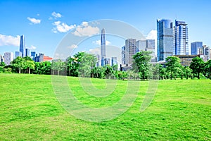 Shenzhen city financial district skyline and park grass scenery