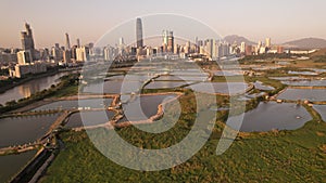 Shenzhen skyline view from the boundary of Hong Kong