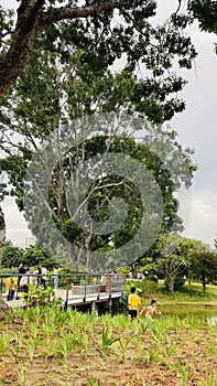 ShenZhen Xiangmi Park