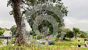 ShenZhen Xiangmi Park