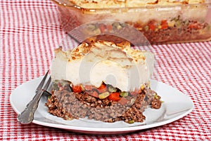 Shepards pie with a fork photo