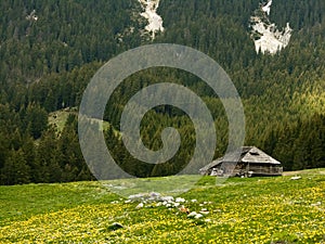 Shepherd cottage in Romania