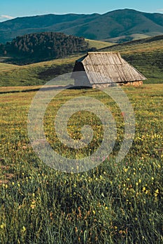 Shepherd cottage on Zlatibor hill slope in Serbia