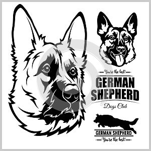 Shepherd Dog Portrait - vector illustration on white.
